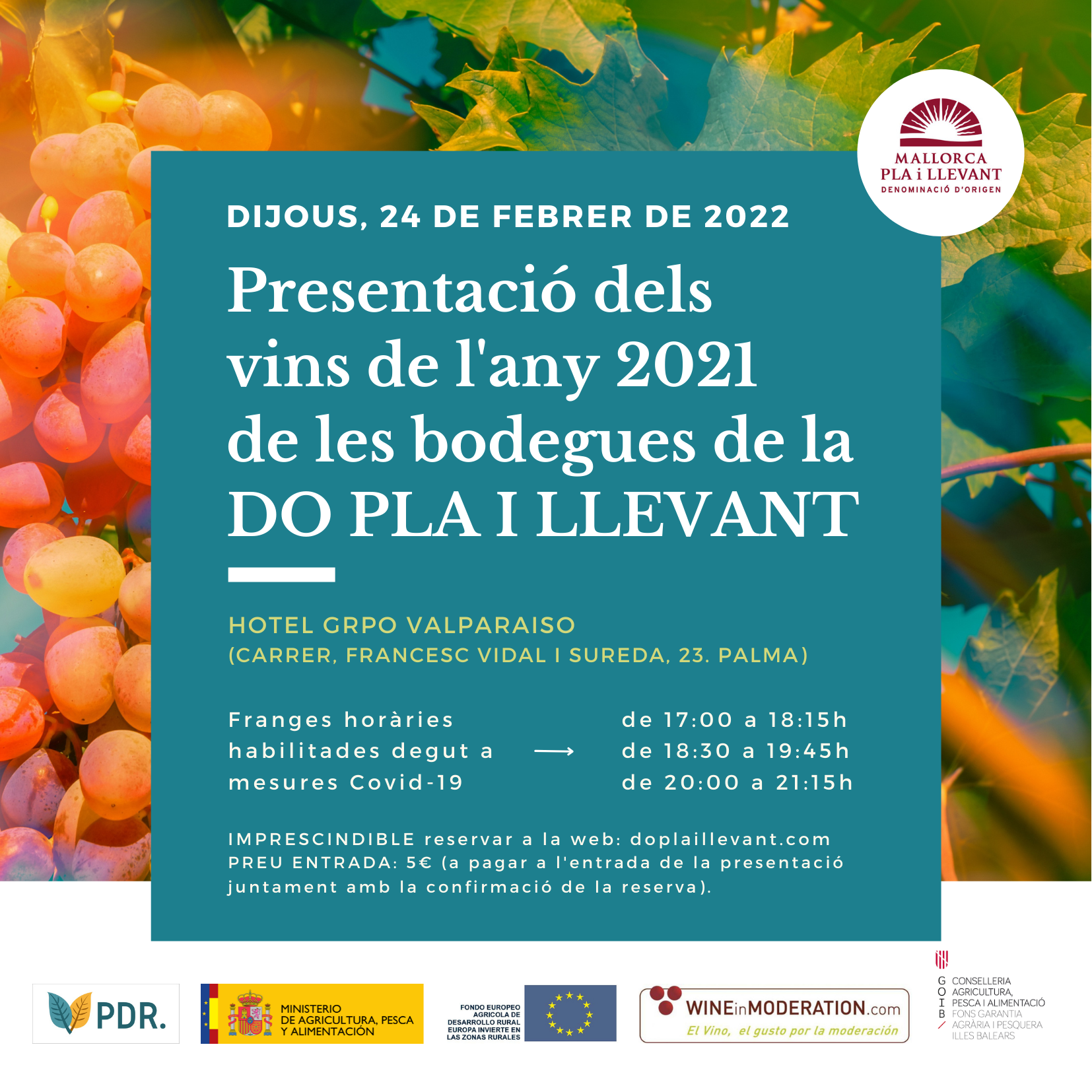 Presentació de les novetats dels vins de la DOP Pla i Llevant  - Notícies - Illes Balears - Productes agroalimentaris, denominacions d'origen i gastronomia balear